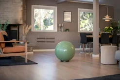 Abilica FitnessBall 65 cm Green
