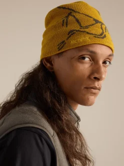 Arc'teryx Bird Head Toque Nucleus/Mongoose