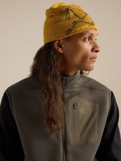Arc'teryx Bird Head Toque Nucleus/Mongoose
