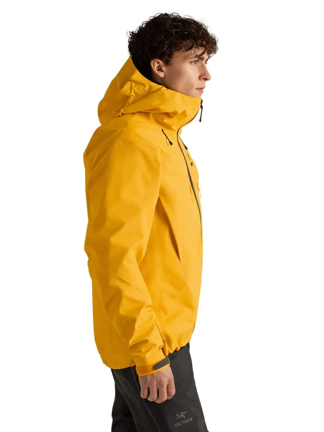 Arc'teryx Men's Alpha SV Jacket Larch