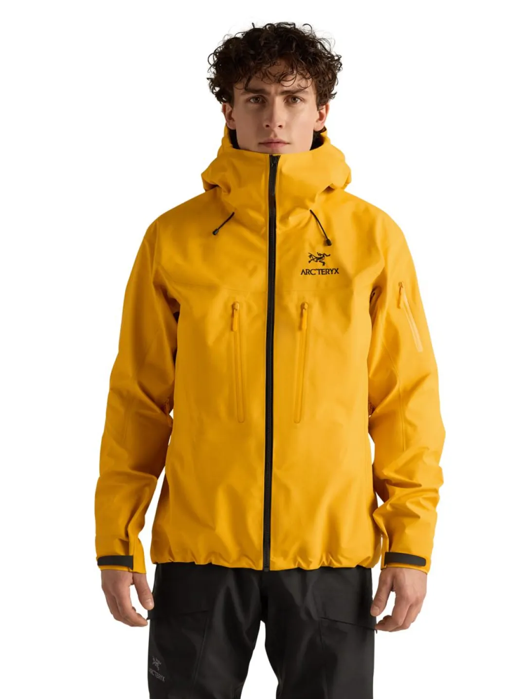 Arc'teryx Men's Alpha SV Jacket Larch
