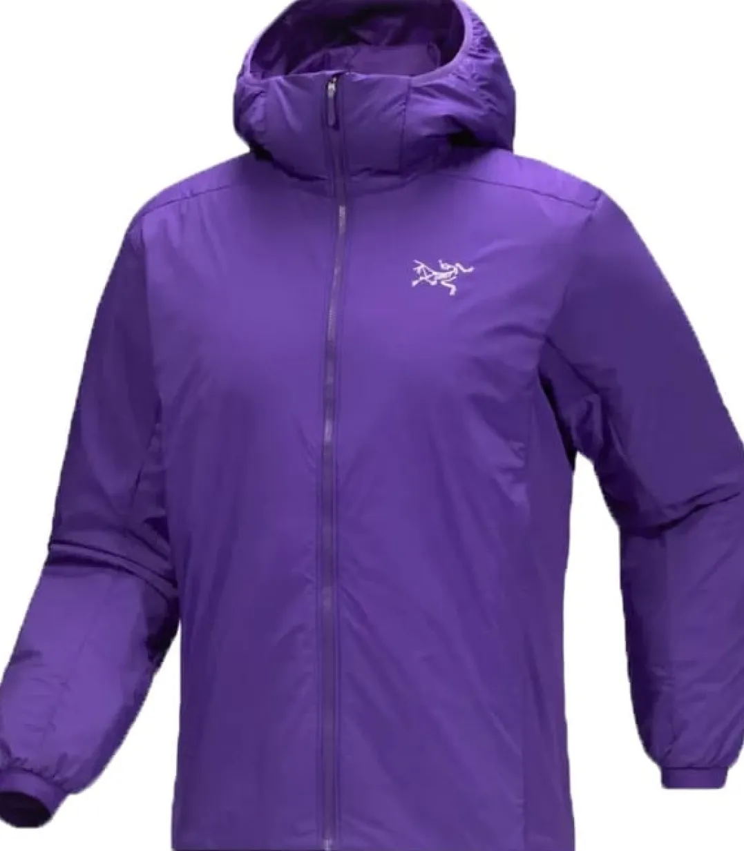 Arc'teryx Men's Atom Hoody Azalea