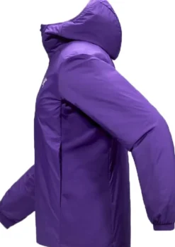 Arc'teryx Men's Atom Hoody Azalea