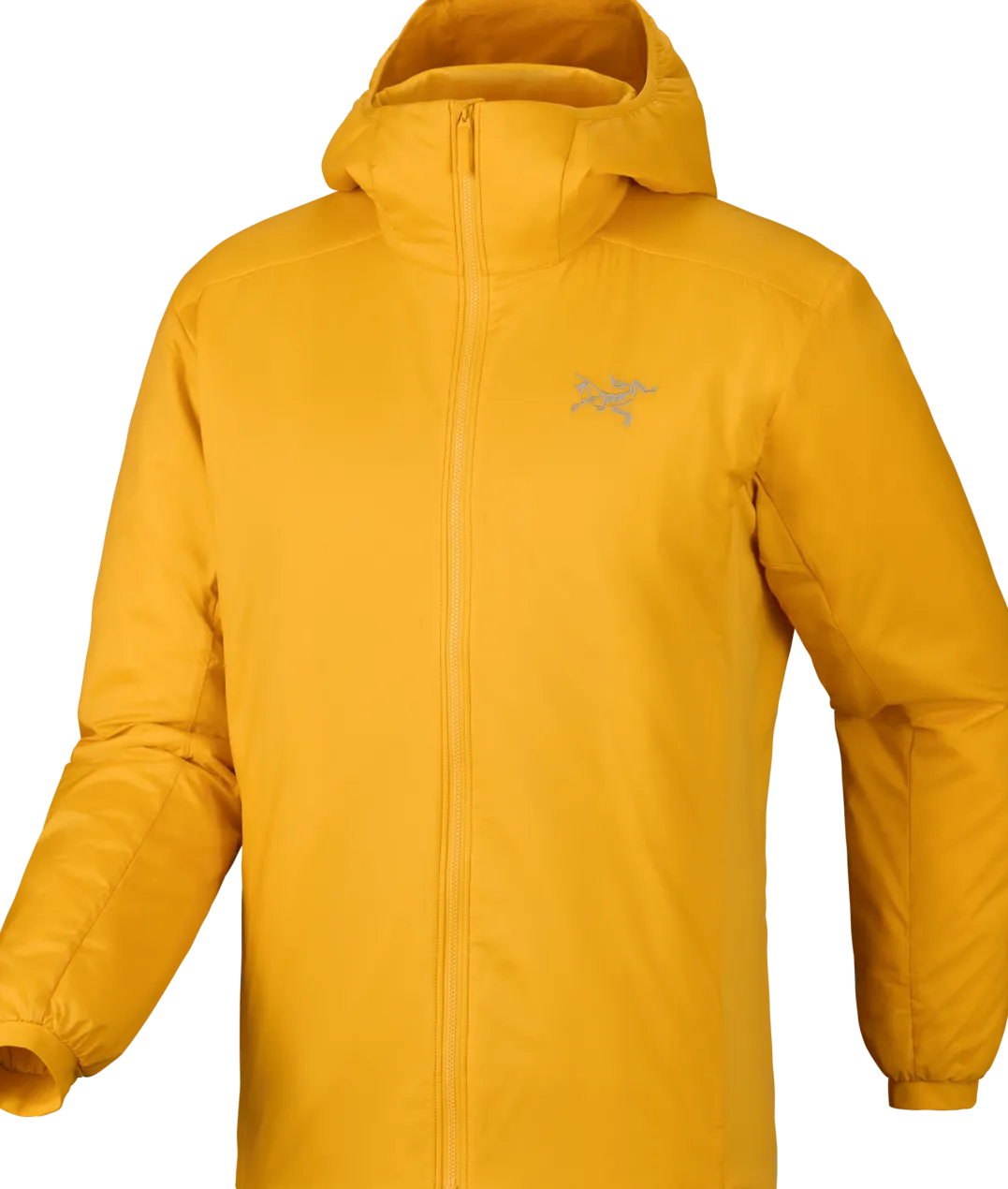 Arc'teryx Men's Atom Hoody Larch