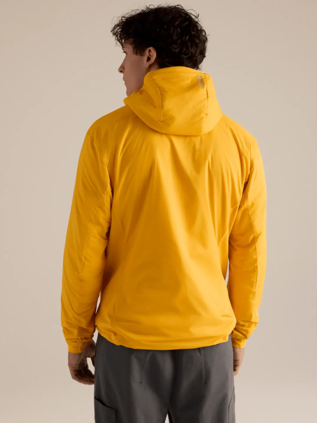 Arc'teryx Men's Atom Hoody Larch