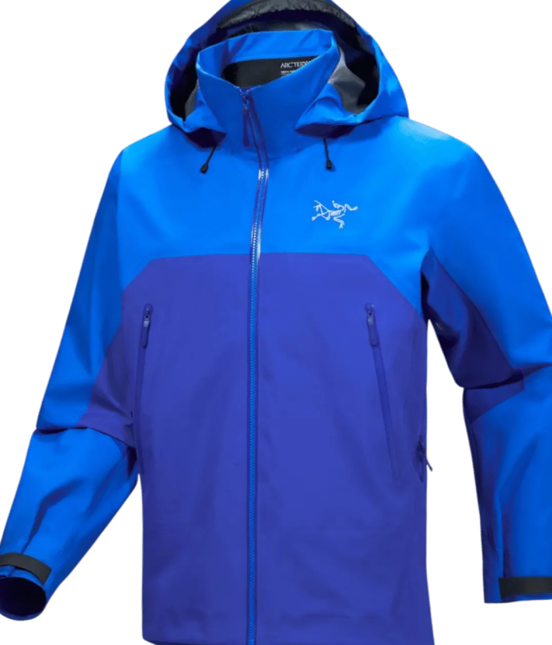 Arc'teryx Men's Beta Ar Jacket Fluidity / Vitality