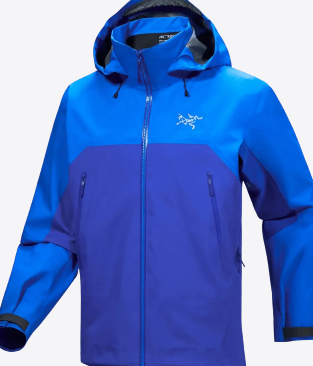 Arc'teryx Men's Beta Ar Jacket Fluidity / Vitality