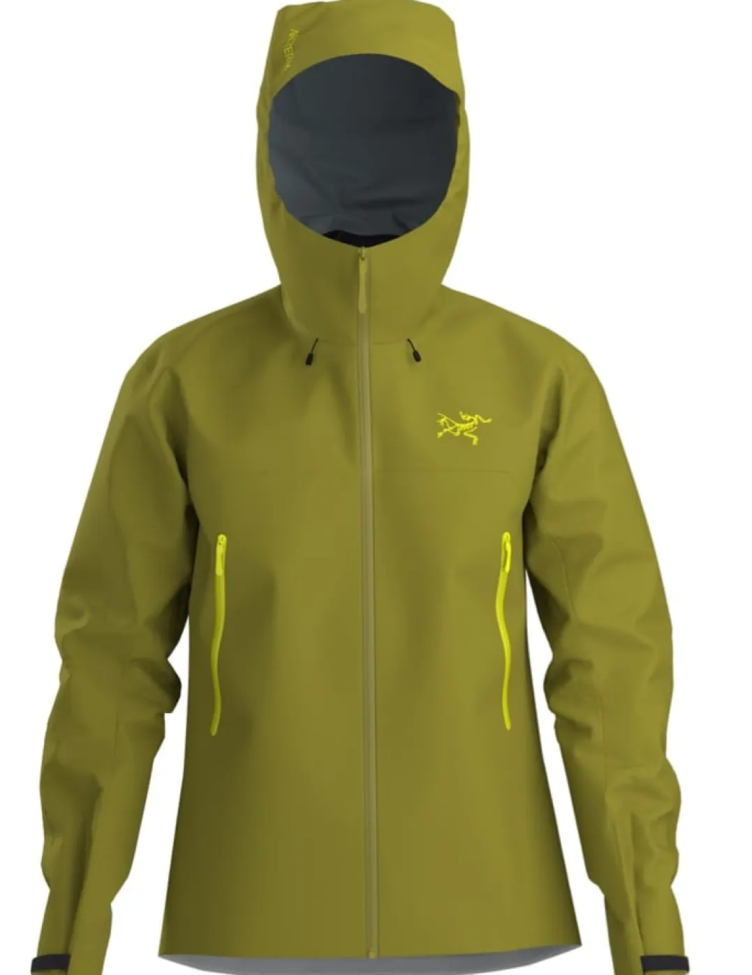 Arc'teryx Men's Beta SL Jacket Olive Moss / Euphoria