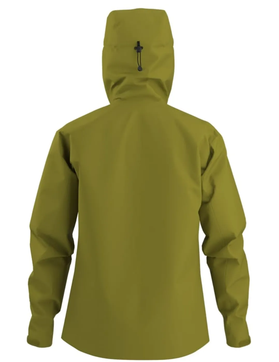 Arc'teryx Men's Beta SL Jacket Olive Moss / Euphoria