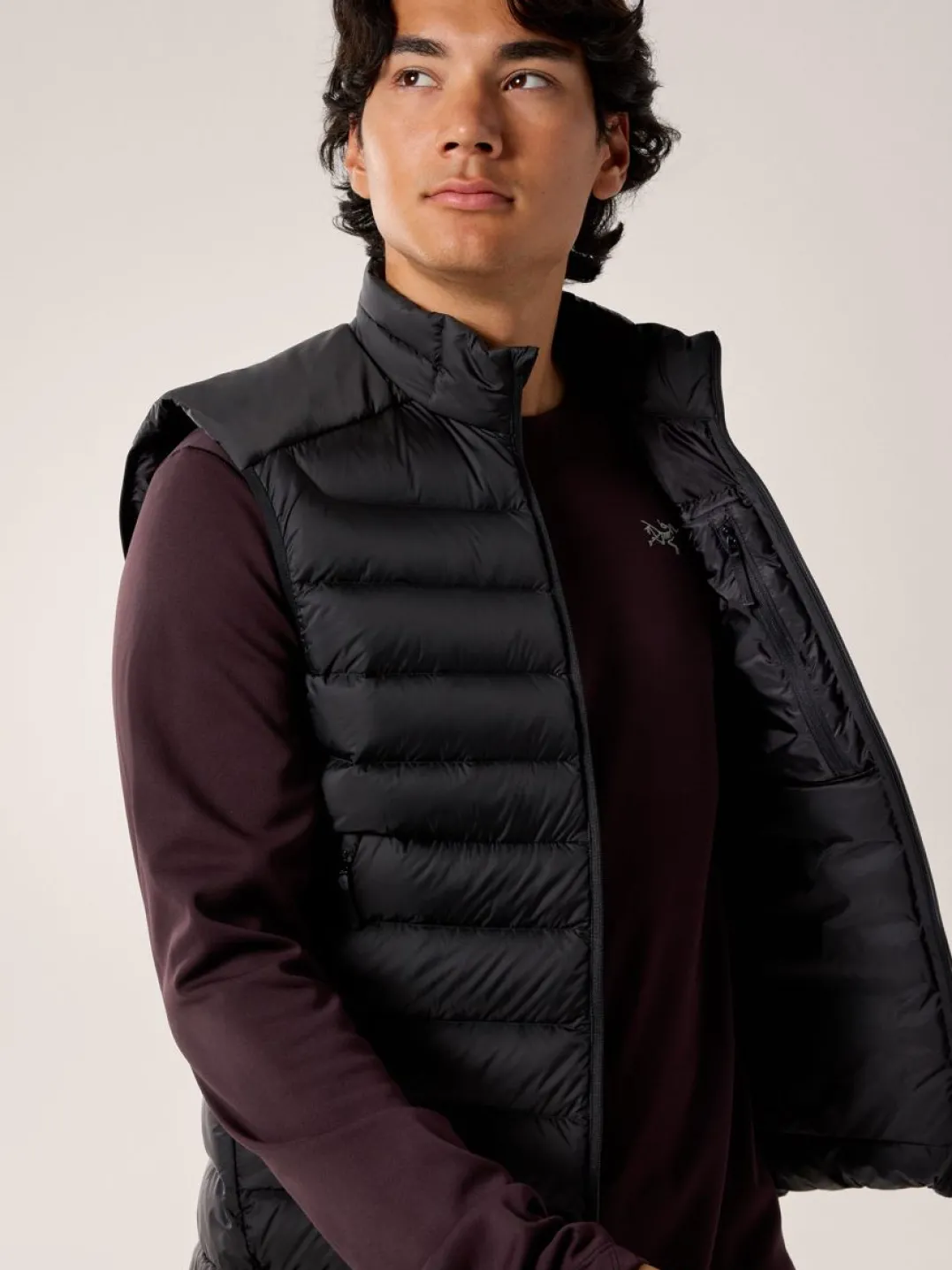 Arc'teryx Men's Cerium Vest Black