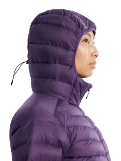 Arc'teryx Women's Cerium Hoody Moondrop