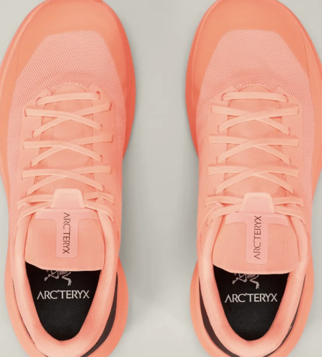 Arc'teryx Women's Norvan LD 4Flicker/lumos
