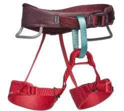 Black Diamond Kids' Momentum Harness Wild Rose