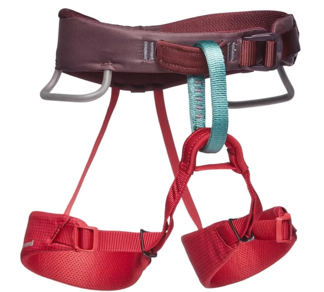 Black Diamond Kids' Momentum Harness Wild Rose