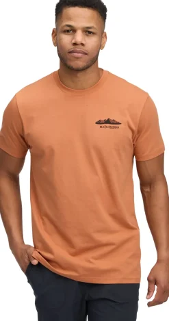 Black Diamond Men's Mountainscape Short Sleeve Tee Moab Brown