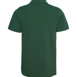 Bula Breeze Polo Shirt Pine