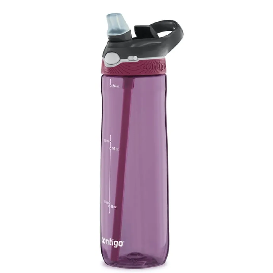 Contigo Ashland Passionfruit
