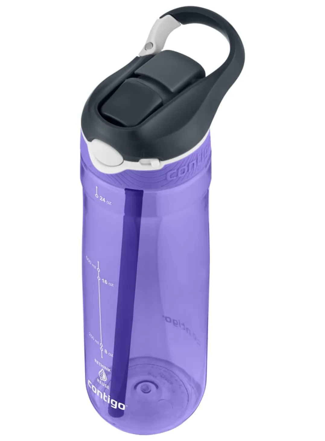 Contigo Ashland Water Bottle Grapevine