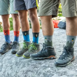 Darn Tough Men's Number 2 Micro Crew Midweight Hiking Sock Gray
