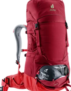 Deuter Fox 30 Masala/Cherry
