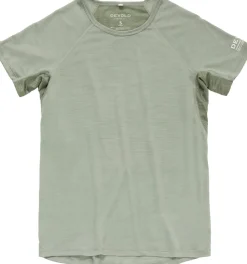 Devold Women's Endurance Merino 130 Tee Fog