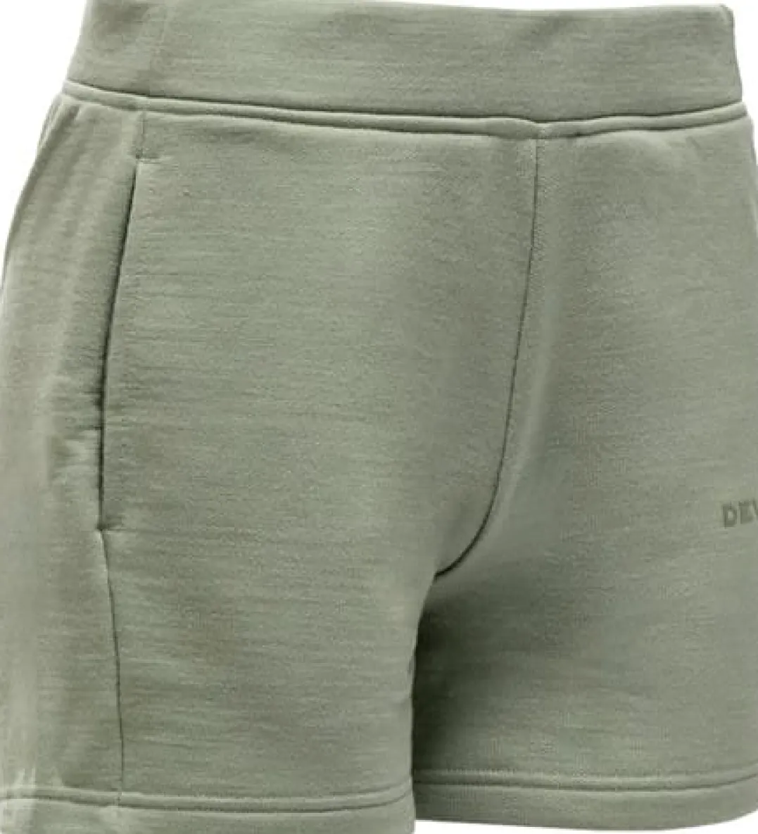 Devold Women's Everyday Shorts Fog