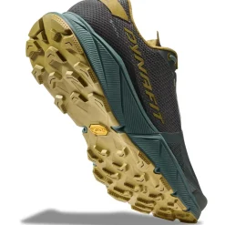 Dynafit Ultra 100 GTX M Lichen/atlantic