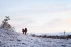 Fjällräven Singi Stubben Dark Olive