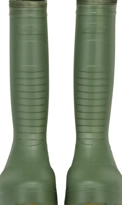 Fubuki Okinawa Olive