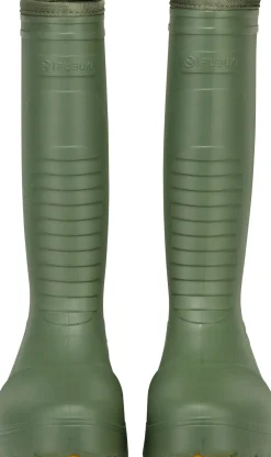 Fubuki Okinawa Olive