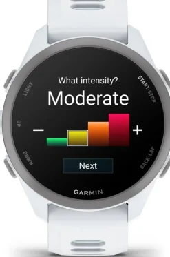 Garmin Forerunner 170 Whitestone/cloud Blue