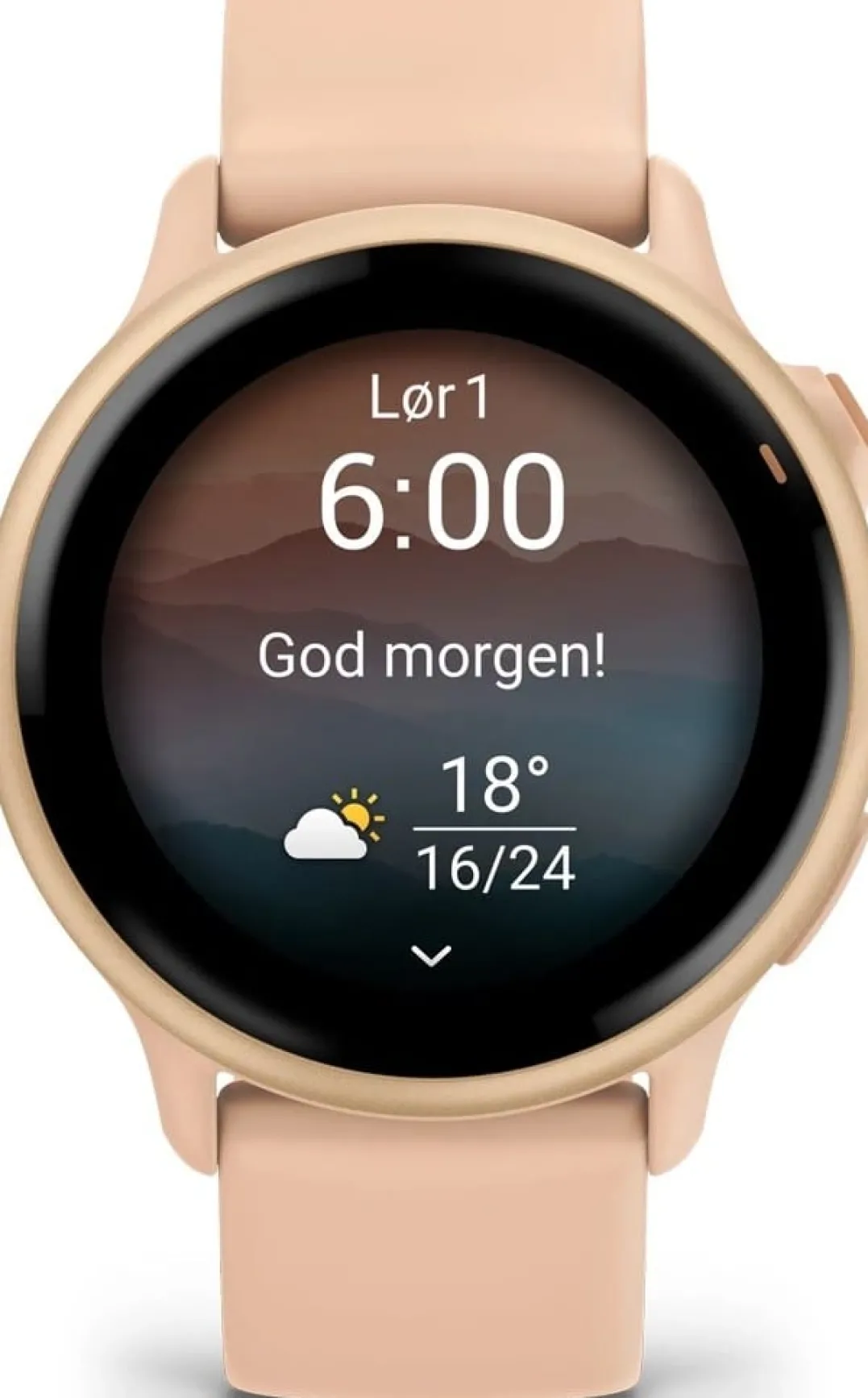 Garmin Vivoactive 6 Pink Dawn/P. Dawn Metallic