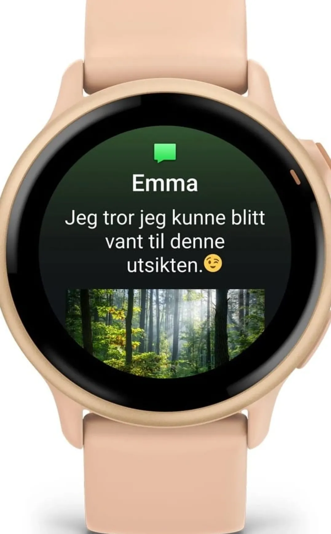 Garmin Vivoactive 6 Pink Dawn/P. Dawn Metallic