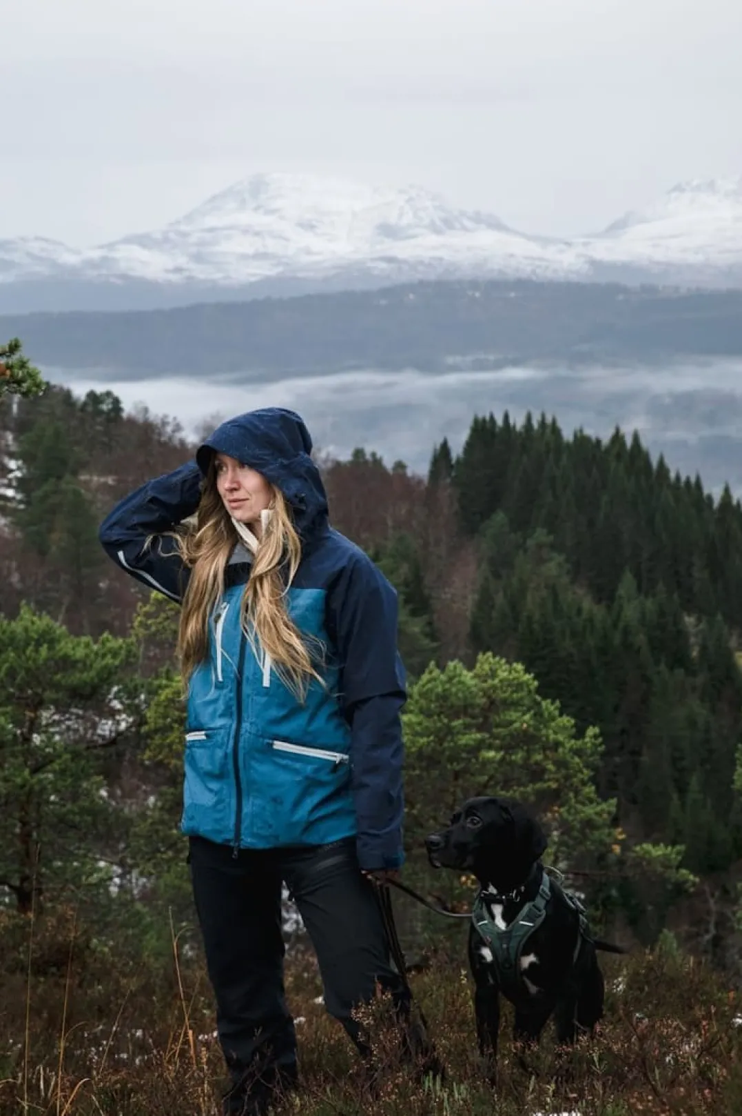 Gridarmor 3 Layer Alpine Jacket Women Navy Blazer