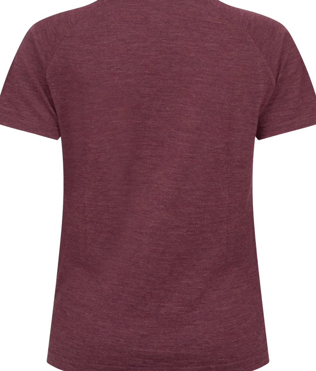Gridarmor Merino Wool Tee Wmn Fig Melange