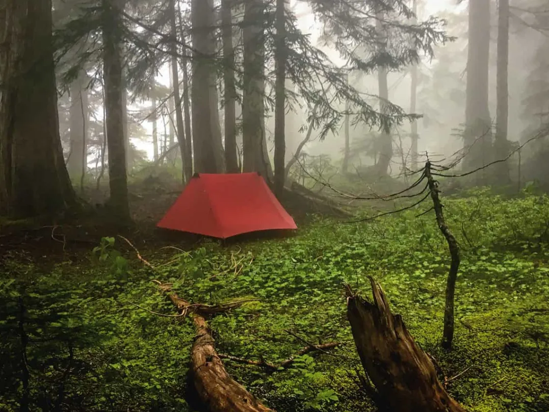 Hilleberg Anaris Green