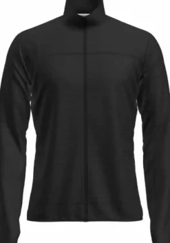 Icebreaker Icebreaker Merino Blend 300 RealFleece™ Descender LS Zip
