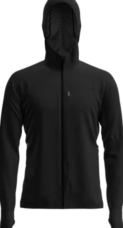 Icebreaker Men Merinoblend300 Realfleece™ Descend Ls Zip Hoodie Black