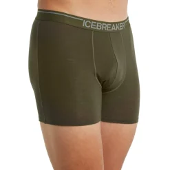 Icebreaker Men's Anatomica Boxers LODEN