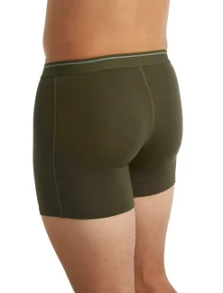 Icebreaker Men's Anatomica Boxers LODEN