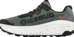 Icebug Women's Arcus 2 Bugrip Gore-Tex Grey