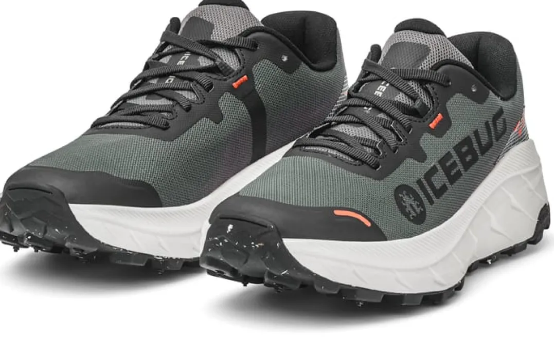 Icebug Women's Arcus 2 Bugrip Gore-Tex Grey