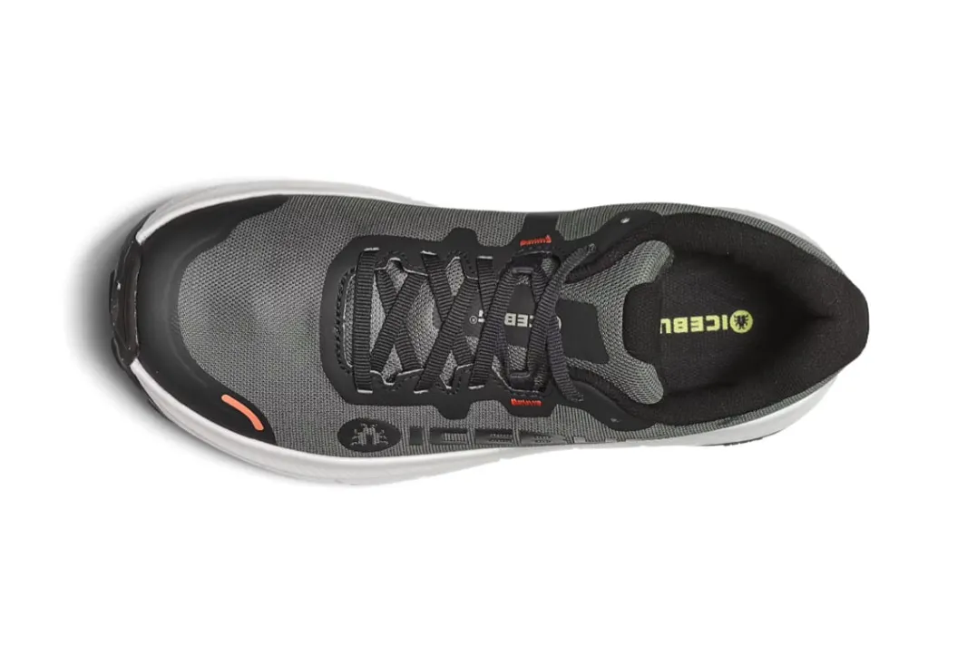 Icebug Women's Arcus 2 Bugrip Gore-Tex Grey