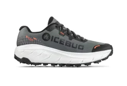 Icebug Women's Arcus 2 Bugrip Gore-Tex Grey