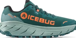 Icebug Women's Arcus 2 RB9X Gore-Tex Seamoss/coral