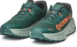 Icebug Women's Arcus 2 RB9X Gore-Tex Seamoss/coral