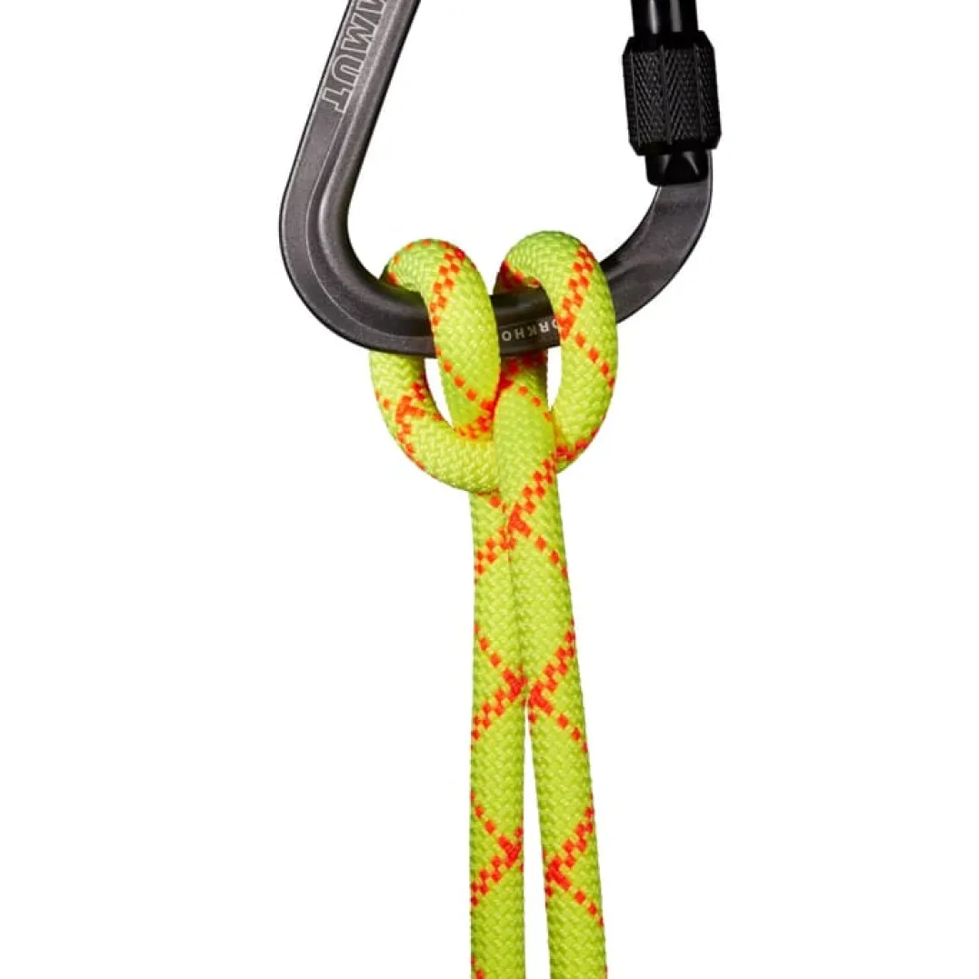 Mammut 9.5 Alpine Core Protect Dry Rope 60m Halo-vibrant Orange