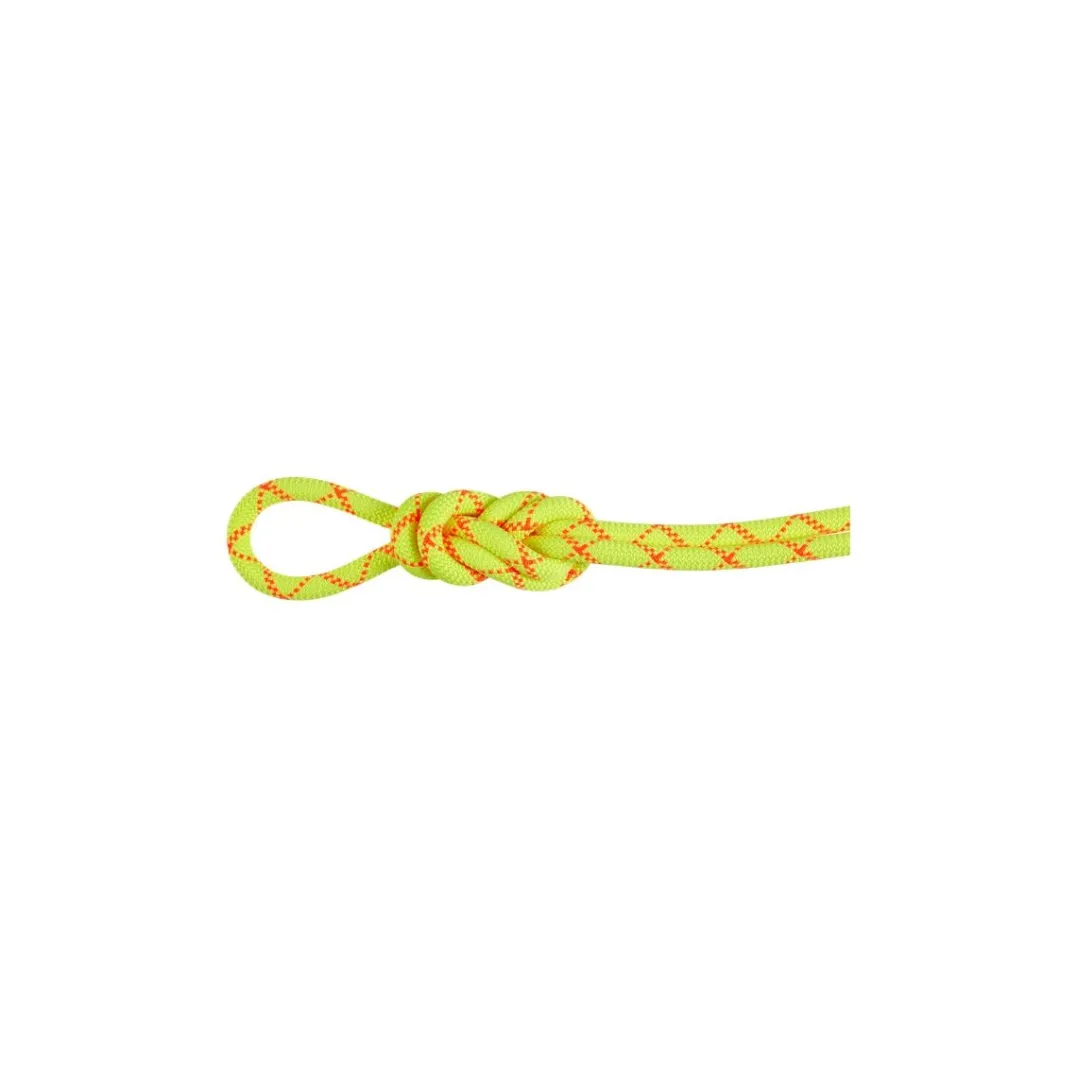 Mammut 9.5 Alpine Core Protect Dry Rope 70m Halo-vibrant Orange