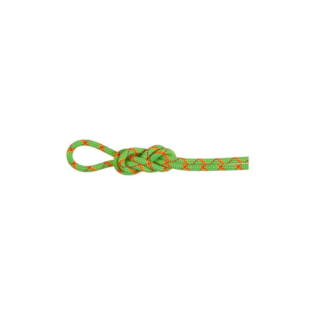 Mammut 8.0 Alpine Core Protect Dry Rope 60m Halo-vibrant Orange