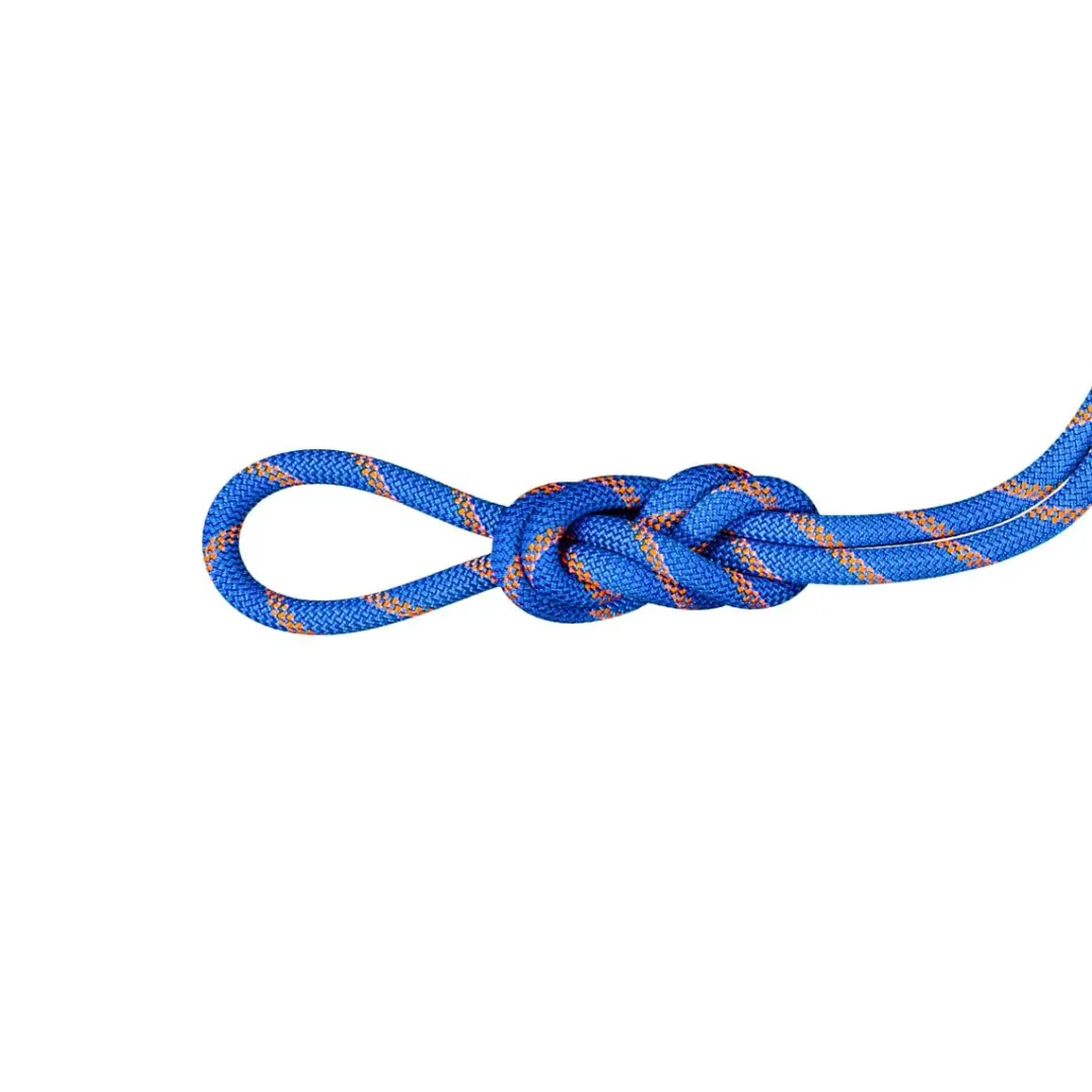 Mammut 9.0 Alpine Sender Dry Rope 30m Ice-sunrise